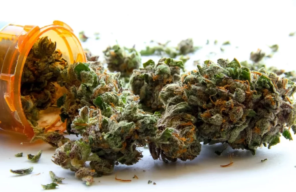 lecznicza marihuana na recepte